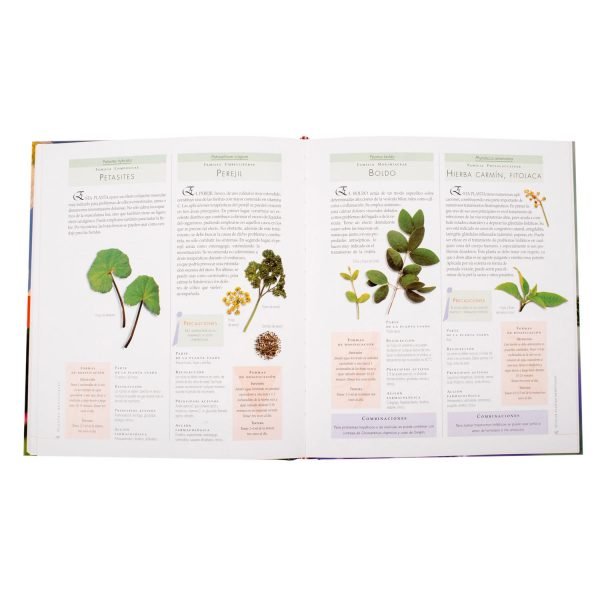Atlas Ilustrado de las Plantas Medicinales - Imagen 3