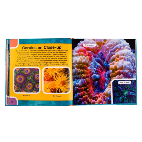 Vida Marina - Imagen 2