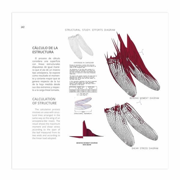 Biónica, Biomimética y Arquitectura, Aprendiendo de la Naturaleza - Imagen 3