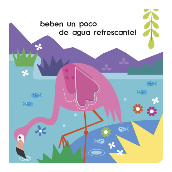 Mira y Descubre – Flamencos - Imagen 4