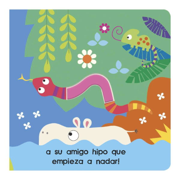 Mira y Descubre – Flamencos - Imagen 3