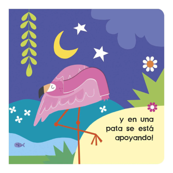 Mira y Descubre – Flamencos - Imagen 2