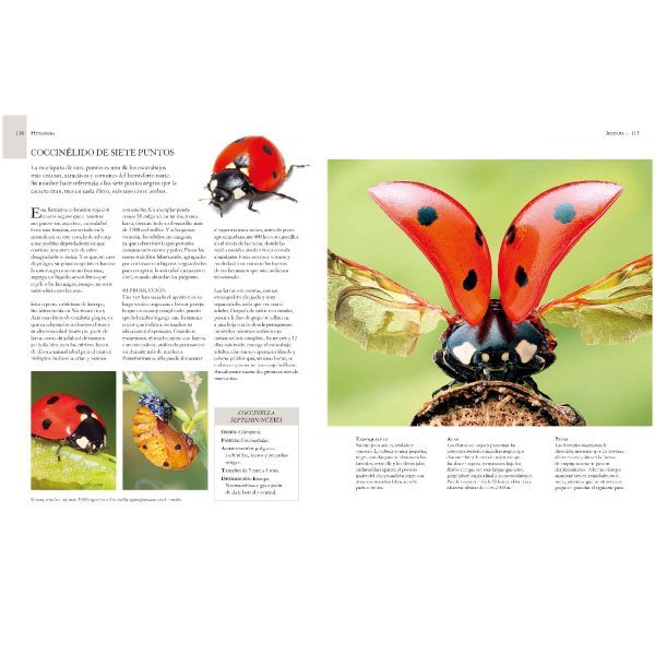 Enciclopedia ilustrada de micro animales - Imagen 2