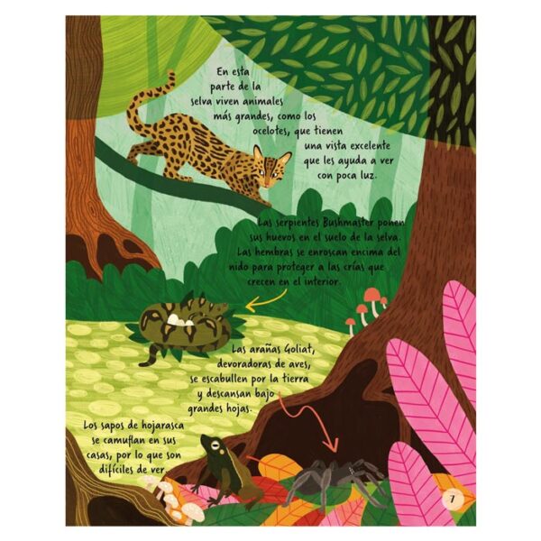 Exploremos Los Animales de la Selva - Imagen 2