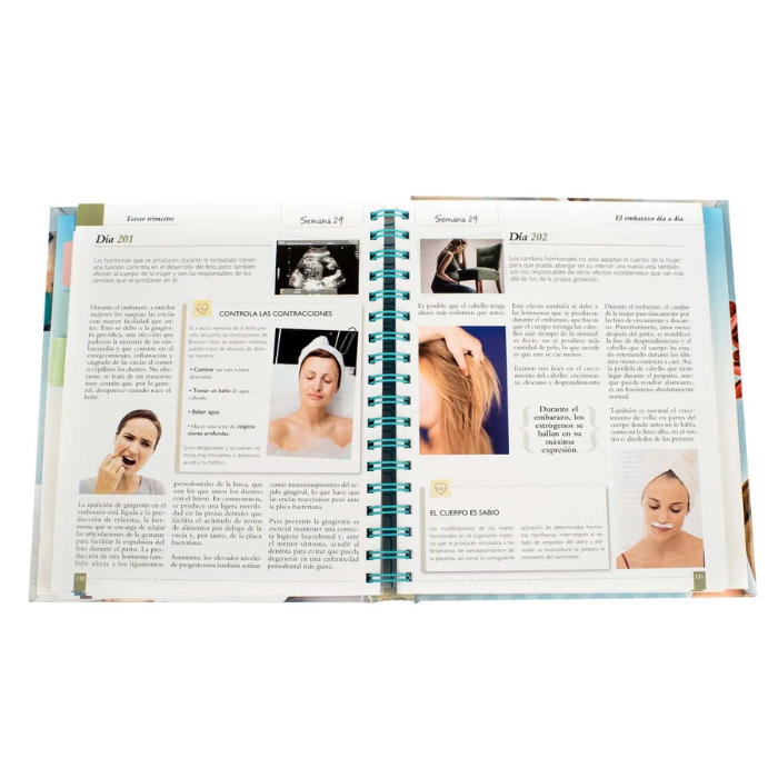 El Embarazo Día a Día - Imagen 4